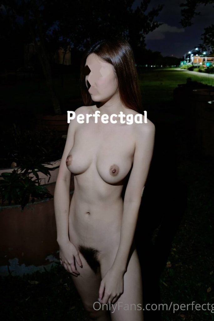 05033141408-684x1024-1