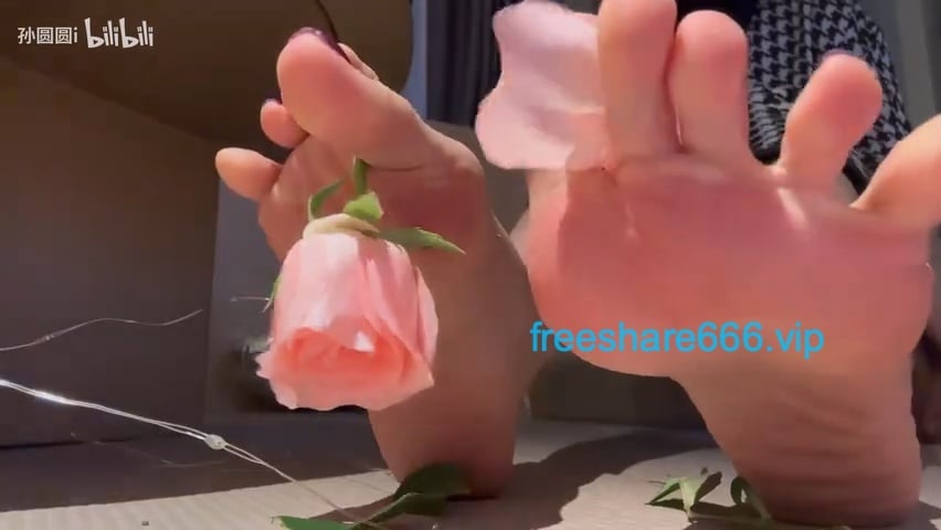 15045058607