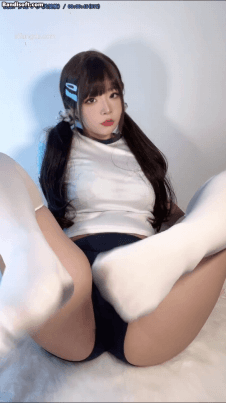 16045302435