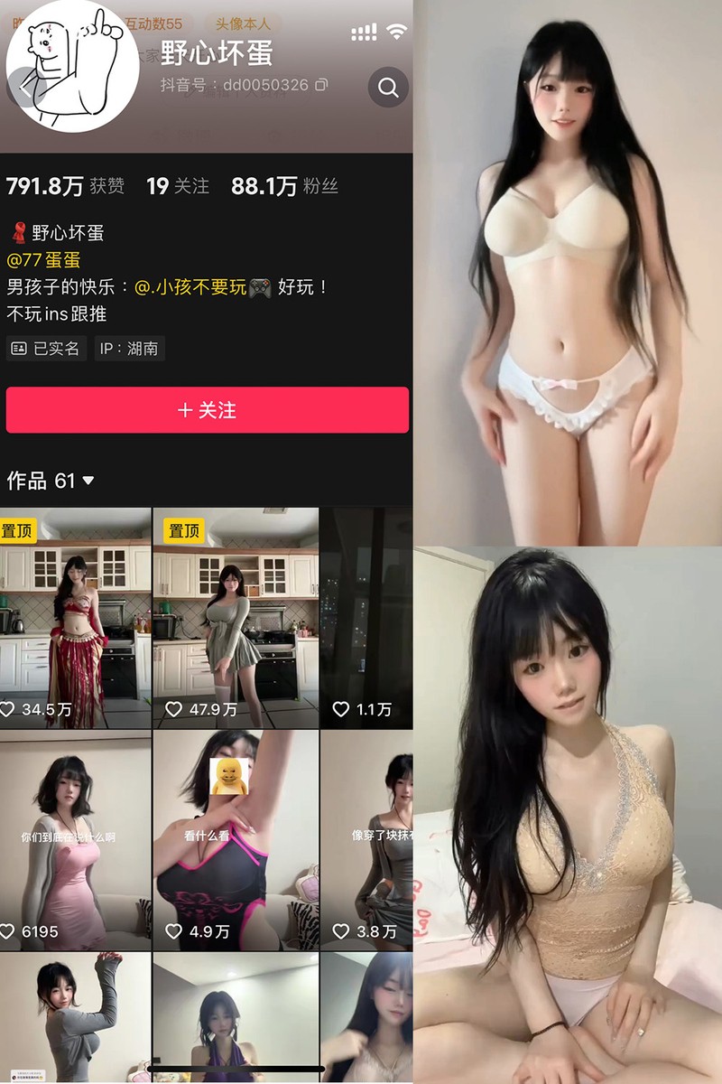 野心坏蛋封面